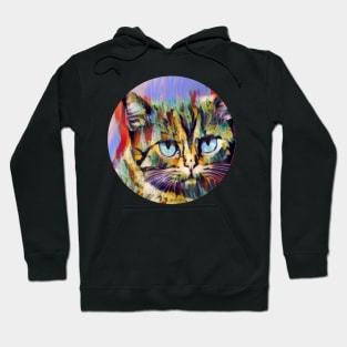 Fast floppy cat Hoodie